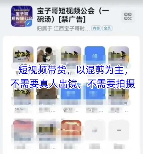 宝子哥头部团队短视频带货，以混剪为主，不需要真人出镜，不需要拍摄【更新11月】-网创风向标
