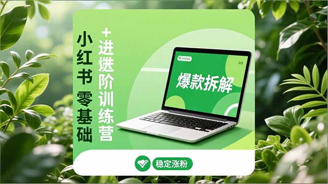 小红书零基础+高阶训练营：安全养号、爆款拆解、长效运营，实现稳定涨粉与变现-网创风向标