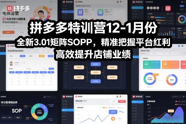 拼多多特训营12-1月份,全新3.01矩阵Sop,精准把握平台红利,高效提升店铺业绩-网创风向标