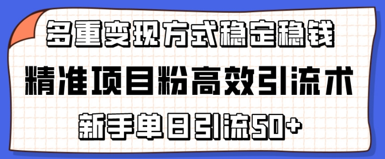 精准项目粉高效引流术,新手单日引流50+,多重变现方式稳定赚钱-网创风向标
