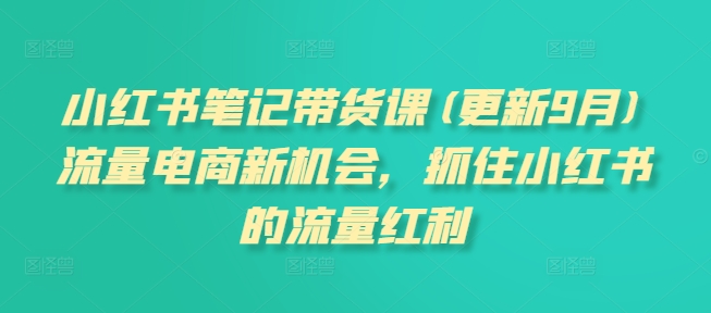 小红书笔记带货课(更新25年12月)流量电商新机会，抓住小红书的流量红利-网创风向标