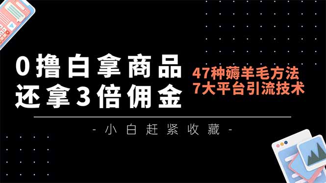 0撸白拿商品，还拿3倍佣金，47种薅羊毛方法，7大平台全方位引流技术教学，精专月入过万-网创风向标