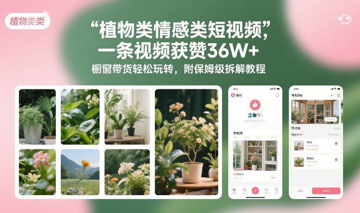 植物类情感类短视频，一条视频获赞36W+，橱窗带货轻松玩转，附保姆级拆解教程-网创风向标