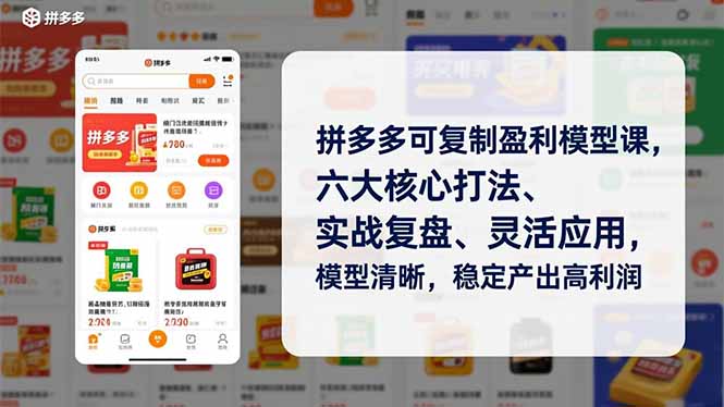 拼多多可复制盈利模型课，六大核心打法、实战复盘、灵活应用，模型清晰，稳定产出高利润-网创风向标