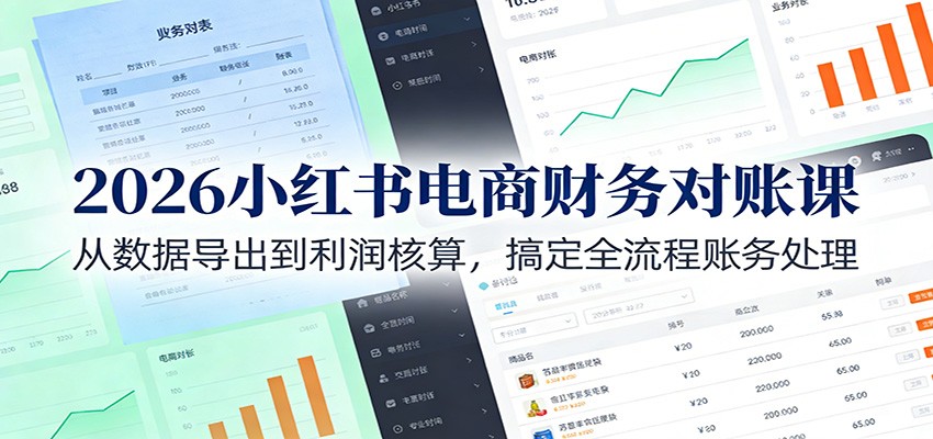 2026小红书电商财务对账课：从数据导出到利润核算，搞定全流程账务处理-网创风向标