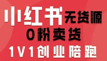 小红书无货源0粉电商课，开店准备、选品策略、笔记撰写、视频剪辑、数据分析、账号打造、资料文档(更新)-网创风向标