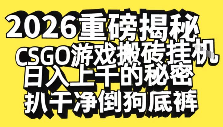 2026开年重磅解密，CSGO游戏搬砖挂G日入1k+的秘密，把倒狗的底裤扒干【揭秘】-网创风向标