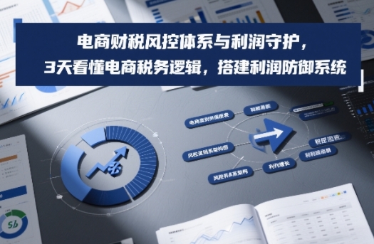 电商财税风控体系与利润守护，3天看懂电商税务逻辑，搭建利润防御系统-网创风向标