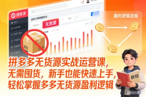 拼多多无货源实战运营课，无需囤货，新手也能快速上手，轻松掌握多多无货源盈利逻辑-网创风向标