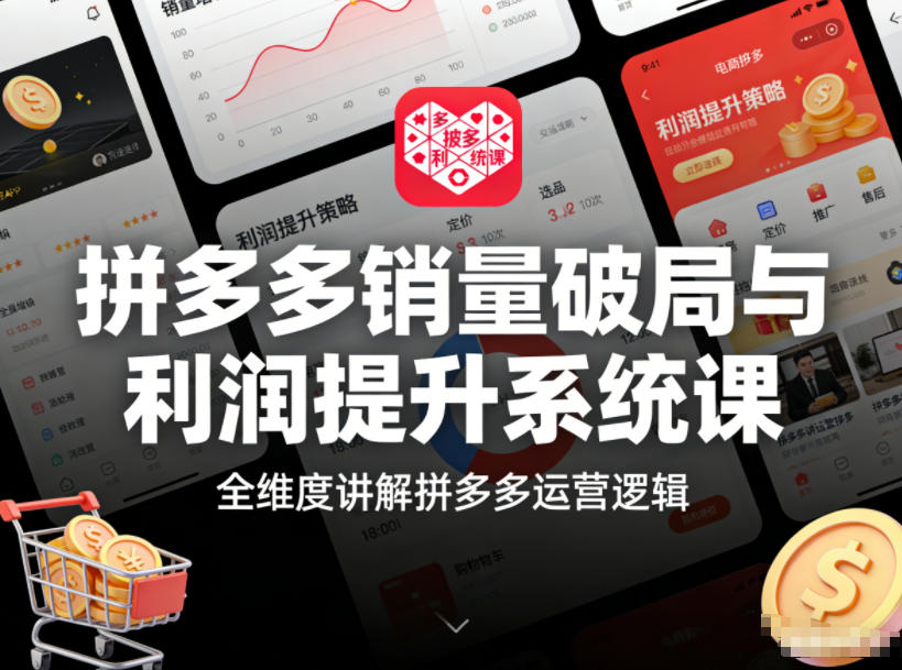 拼多多销量破局与利润提升系统课，全维度讲解拼多多运营逻辑-网创风向标