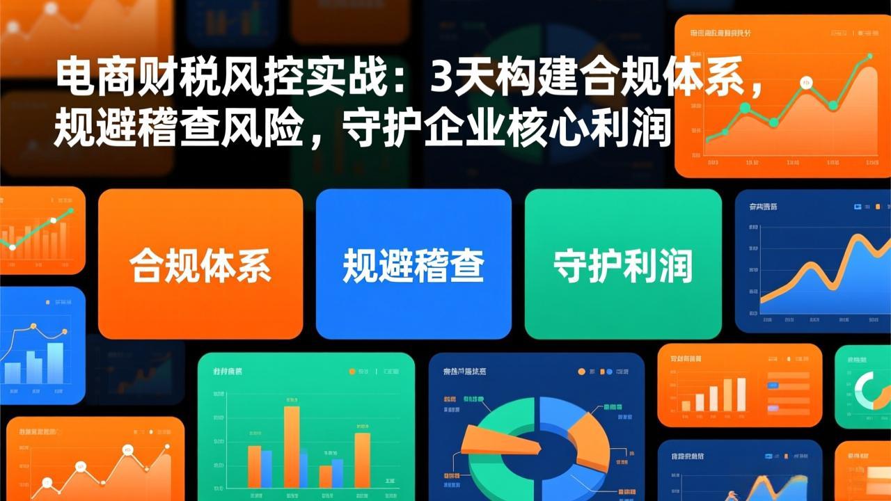 电商财税风控实战：3天构建合规体系，规避稽查风险，守护企业核心利润-网创风向标