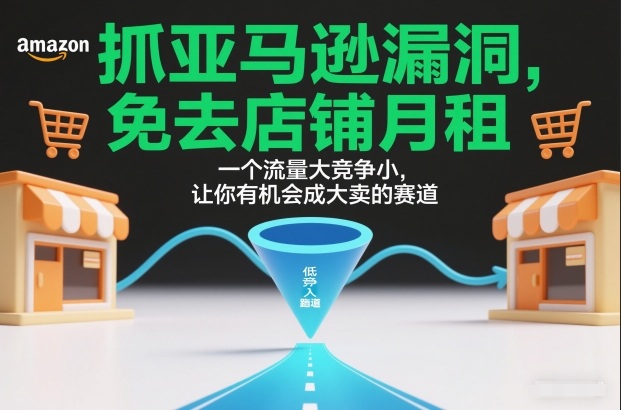 抓亚马逊漏洞，免去店铺月租，一个流量大竞争小，让你有机会成大卖的赛道-网创风向标